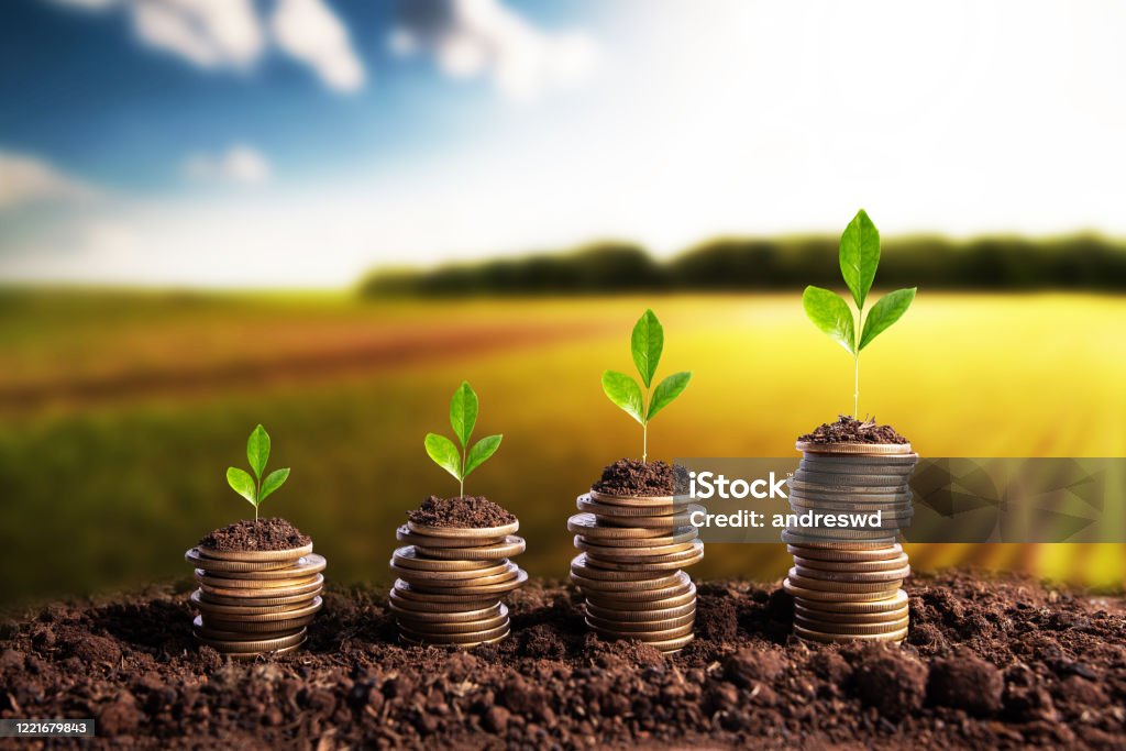 Agricultural Loans
