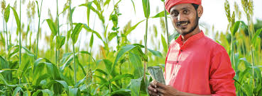 Kisan Credit Card Loans